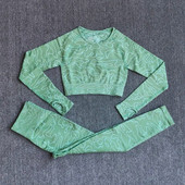 Ženski set za jogu dugih rukava Odjeća za vježbanje u teretani Fitness Crop Top Bešavne tajice visokog struka 2 kom/komplet Sportsko odijelo Aktivna odjeća