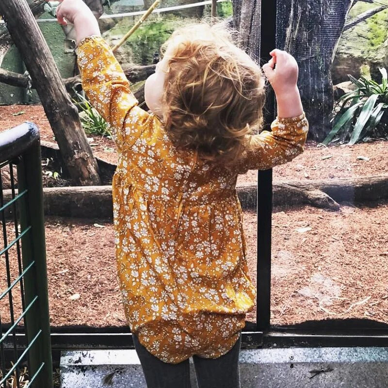 Djevojčica Baby Broken Flower Rompers Baby Triangle Romper Kombinezon dugih rukava Pamučna odjeća za penjanje s printom Bodi za djevojčice