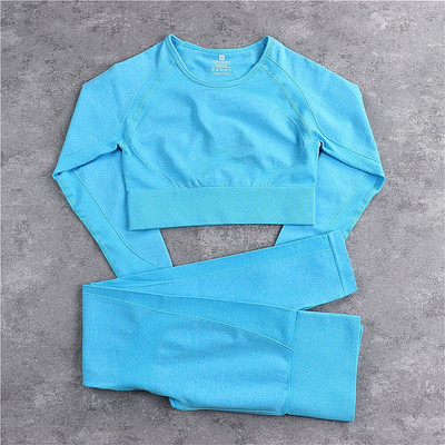 Bešavni sportski set Ženska plava dvodijelna majica kratkih rukava Tajice Odjeća za vježbanje Odijelo za fitness Odjeća za vježbanje Kompleti za jogu