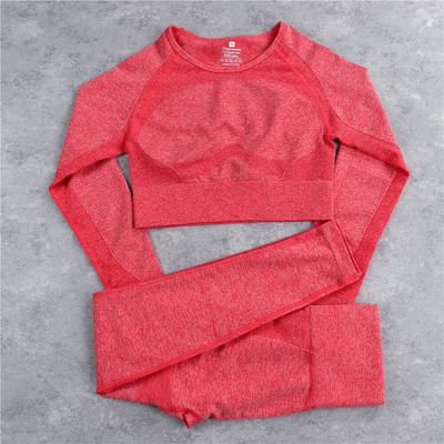 Bešavni sportski set Ženska plava dvodijelna majica kratkih rukava Tajice Odjeća za vježbanje Odijelo za fitness Odjeća za vježbanje Kompleti za jogu