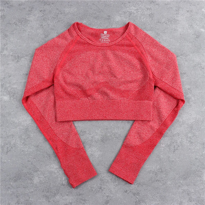 Bešavni sportski set Ženska plava dvodijelna majica kratkih rukava Tajice Odjeća za vježbanje Odijelo za fitness Odjeća za vježbanje Kompleti za jogu