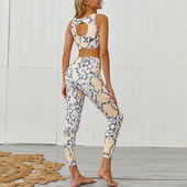 Snake Sportski komplet za vježbanje Ženska odjeća Sportska odjeća za 2022. Žensko odijelo za jogu u teretani za vježbanje u fitnesu Odjeća Komplet grudnjaka s patentnim zatvaračem Odjeća