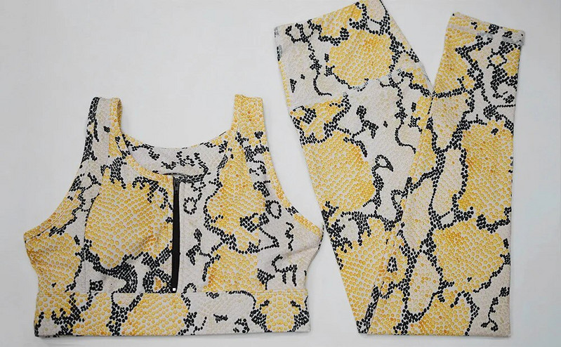 Snake Sportski komplet za vježbanje Ženska odjeća Sportska odjeća za 2022. Žensko odijelo za jogu u teretani za vježbanje u fitnesu Odjeća Komplet grudnjaka s patentnim zatvaračem Odjeća