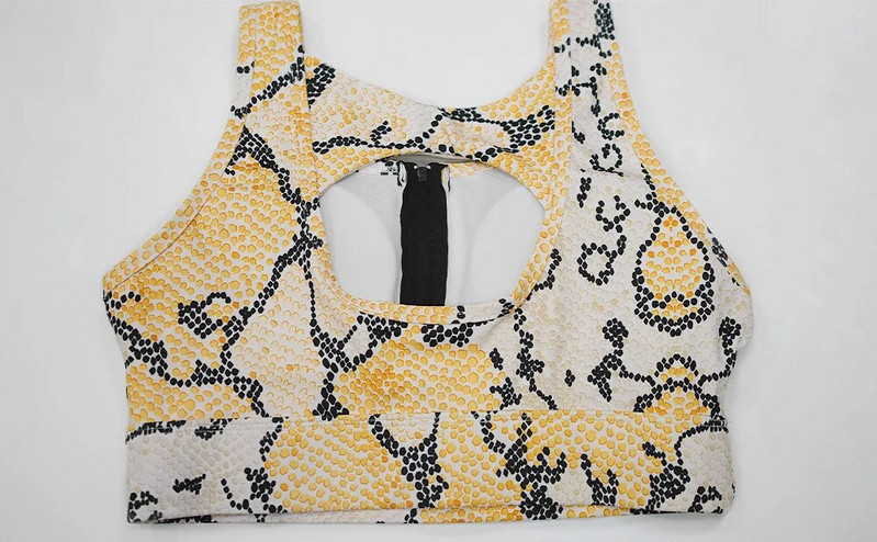 Snake Sportski komplet za vježbanje Ženska odjeća Sportska odjeća za 2022. Žensko odijelo za jogu u teretani za vježbanje u fitnesu Odjeća Komplet grudnjaka s patentnim zatvaračem Odjeća