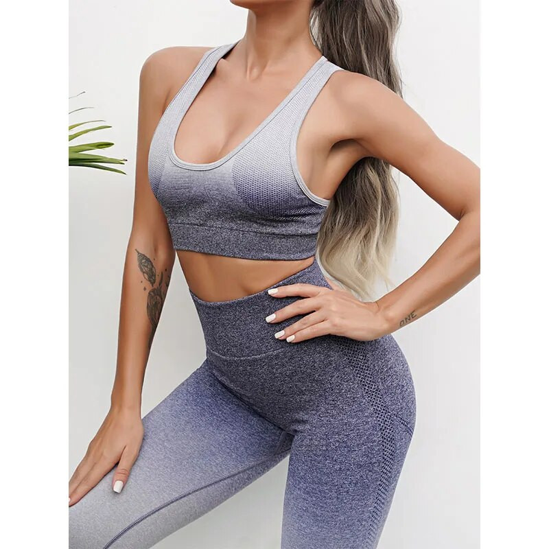 Sportski gradijent joga set Ženski ženski sportski grudnjak Push up tajice Odjeća za fitness Kompleti za vježbanje Sportska odjeća Odjeća za teretanu