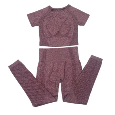 2-dijelno vitalno bešavno sportsko odijelo Ženska odjeća za vježbanje u teretani kratkih rukava Fitness Crop Top Bešavne tajice visokog struka Set za jogu