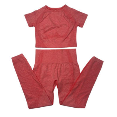 2-dijelno vitalno bešavno sportsko odijelo Ženska odjeća za vježbanje u teretani kratkih rukava Fitness Crop Top Bešavne tajice visokog struka Set za jogu