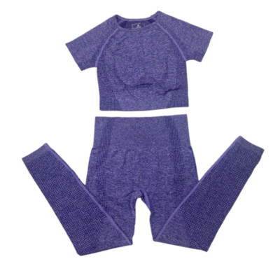 2-dijelno vitalno bešavno sportsko odijelo Ženska odjeća za vježbanje u teretani kratkih rukava Fitness Crop Top Bešavne tajice visokog struka Set za jogu