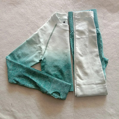 2PCS Energy Women Yoga Set Gym Seamless Ombre Gradient Leggings+Top dugih rukava Sportsko odijelo za vježbanje Ženski set za fitness Active We
