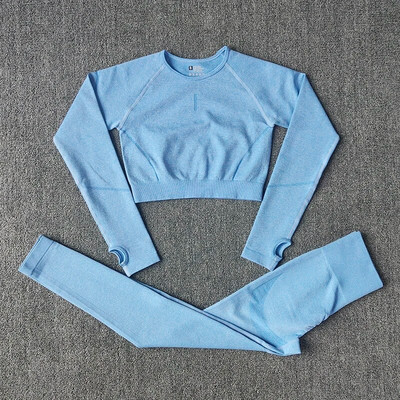 Čvrsti ženski bešavni set za jogu Odjeća za teretanu Tajice za fitness + duge majice Sportsko odijelo Ženska trenirka dugih rukava Aktivna odjeća