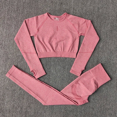 Čvrsti ženski bešavni set za jogu Odjeća za teretanu Tajice za fitness + duge majice Sportsko odijelo Ženska trenirka dugih rukava Aktivna odjeća