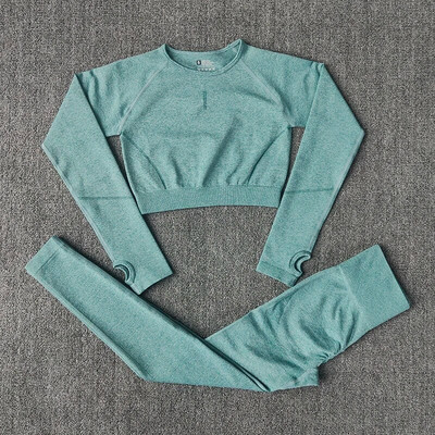 Čvrsti ženski bešavni set za jogu Odjeća za teretanu Tajice za fitness + duge majice Sportsko odijelo Ženska trenirka dugih rukava Aktivna odjeća