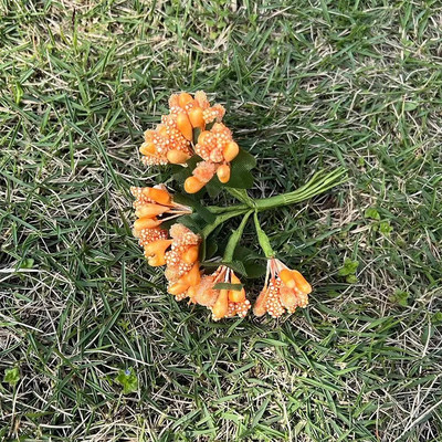 12/36/72/144Pcs Mini Stamen cvijet Umjetno cvijeće Izrada lažnog cvijeća za vjenčani buket Party Scrapbooking Decor DIY