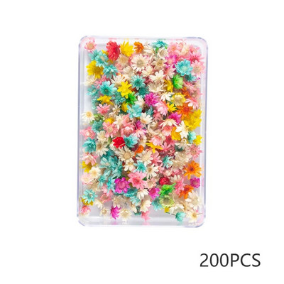 100/200 DB szárított virágok Brazília kis csillag virága barkácsolás kézműves epoxigyanta gyertya köröm epoxigyanta kitöltés ékszerkészítés