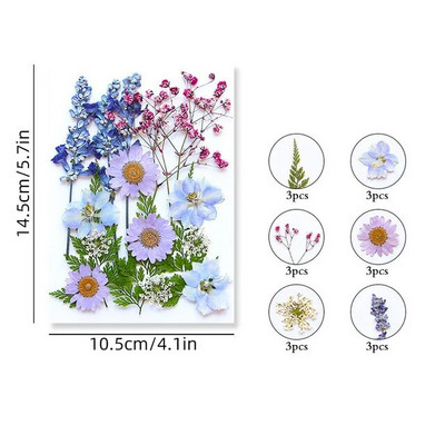 100/200 DB szárított virágok Brazília kis csillag virága barkácsolás kézműves epoxigyanta gyertya köröm epoxigyanta kitöltés ékszerkészítés