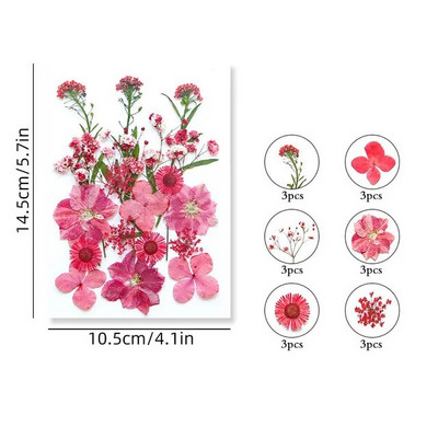 100/200 DB szárított virágok Brazília kis csillag virága barkácsolás kézműves epoxigyanta gyertya köröm epoxigyanta kitöltés ékszerkészítés