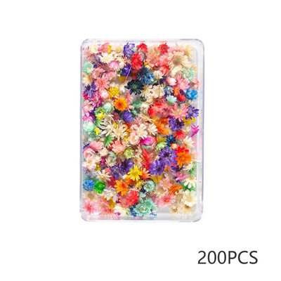 100/200 DB szárított virágok Brazília kis csillag virága barkácsolás kézműves epoxigyanta gyertya köröm epoxigyanta kitöltés ékszerkészítés