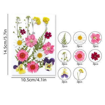 100/200 DB szárított virágok Brazília kis csillag virága barkácsolás kézműves epoxigyanta gyertya köröm epoxigyanta kitöltés ékszerkészítés
