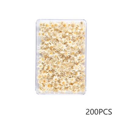100/200 DB szárított virágok Brazília kis csillag virága barkácsolás kézműves epoxigyanta gyertya köröm epoxigyanta kitöltés ékszerkészítés