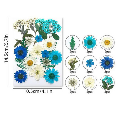 100/200 DB szárított virágok Brazília kis csillag virága barkácsolás kézműves epoxigyanta gyertya köröm epoxigyanta kitöltés ékszerkészítés