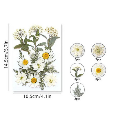 100/200 DB szárított virágok Brazília kis csillag virága barkácsolás kézműves epoxigyanta gyertya köröm epoxigyanta kitöltés ékszerkészítés