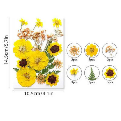 100/200 DB szárított virágok Brazília kis csillag virága barkácsolás kézműves epoxigyanta gyertya köröm epoxigyanta kitöltés ékszerkészítés