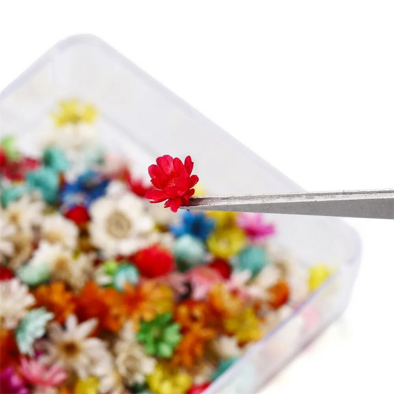 100/200 DB szárított virágok Brazília kis csillag virága barkácsolás kézműves epoxigyanta gyertya köröm epoxigyanta kitöltés ékszerkészítés