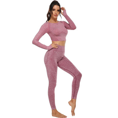 Bešavno odijelo za jogu, 2 dijela, sportske majice, kratki top, bešavne tajice, sportski set, odjeća za teretanu, fitness trenerka, set za vježbanje Femme