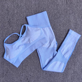 Odjeća za teretanu Ženski bešavni set za jogu Sportsko odijelo za fitness Top za jogu i trenirka Tajice za vježbanje Sportska odjeća Žensko bešavno odijelo