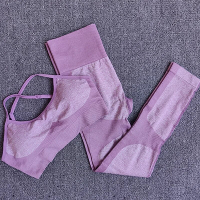 Odjeća za teretanu Ženski bešavni set za jogu Sportsko odijelo za fitness Top za jogu i trenirka Tajice za vježbanje Sportska odjeća Žensko bešavno odijelo