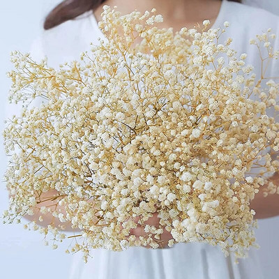 Naturaalsed värsked kuivatatud konserveeritud lilled Gypsophila Paniculata igavese hingeõhu kimbud sõbrapäeva kingitus pulmadeks Kodukaunistus