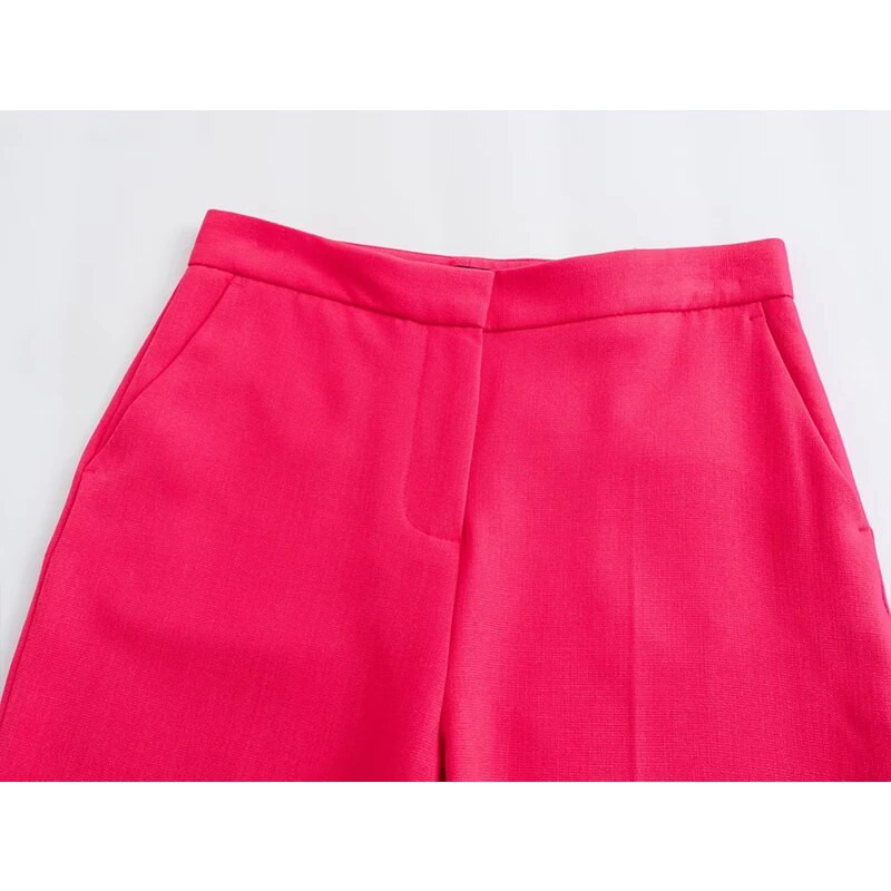 Novi ženski komplet hlača Jesen 2023. Novi ženski blejzeri 2-dijelni set Ležerne ravne hlače Ulično elegantno uredsko odijelo Modni komplet za mlade