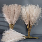 50 cm flori artificiale stuf iarbă de pampas INS simulare vânt flori de decorare pentru casa decor nunta decorare flori
