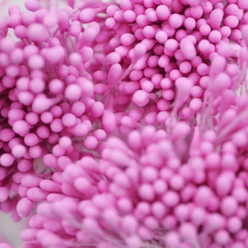 400/800/4000pcs 1,5mm Mini Pearl Flower Stamen Pistil Double Heads Wedding Home Decorations DIY Crafts Scrapbooking Fake Flowers