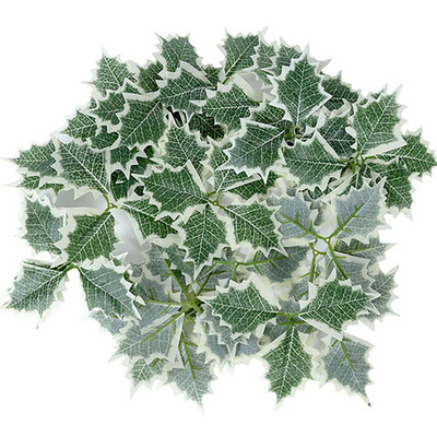 50/5 tk. Jõuluholly lehed kunstlikud punased marjad, lilled, meisterdamine, jõulupärja kaunistused kodustele jõulude uusaastakaunistustele