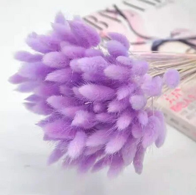 60 tk Mix Lagurus Küüliku saba rohi Looduslik Pampa Kuivatatud Lillede Kimp Lilleline Pulm Boho Kodukaunistus Foto Rekvisiidid Dekoratsioon