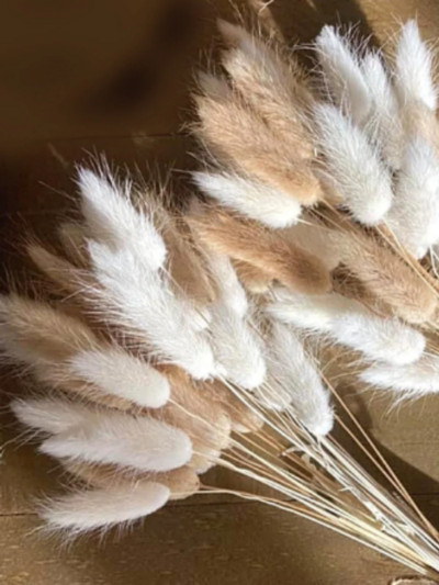 60 tk Mix Lagurus Küüliku saba rohi Looduslik Pampa Kuivatatud Lillede Kimp Lilleline Pulm Boho Kodukaunistus Foto Rekvisiidid Dekoratsioon