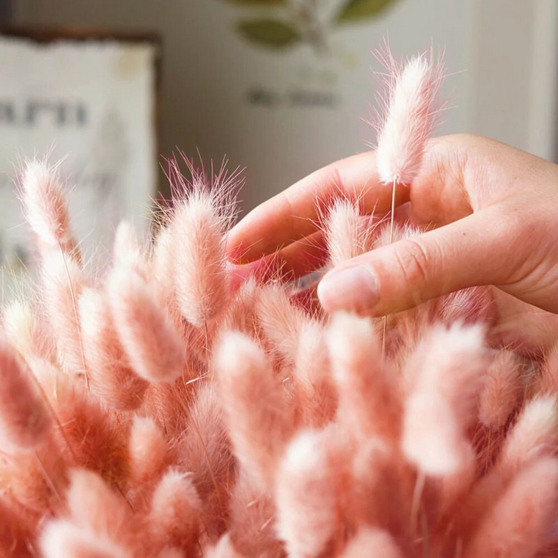 60 tk Mix Lagurus Küüliku saba rohi Looduslik Pampa Kuivatatud Lillede Kimp Lilleline Pulm Boho Kodukaunistus Foto Rekvisiidid Dekoratsioon
