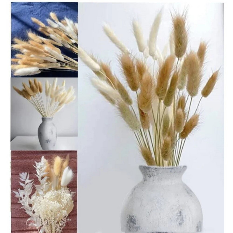 60 tk Mix Lagurus Küüliku saba rohi Looduslik Pampa Kuivatatud Lillede Kimp Lilleline Pulm Boho Kodukaunistus Foto Rekvisiidid Dekoratsioon