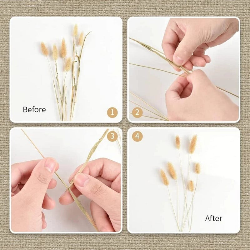 60 tk Mix Lagurus Küüliku saba rohi Looduslik Pampa Kuivatatud Lillede Kimp Lilleline Pulm Boho Kodukaunistus Foto Rekvisiidid Dekoratsioon