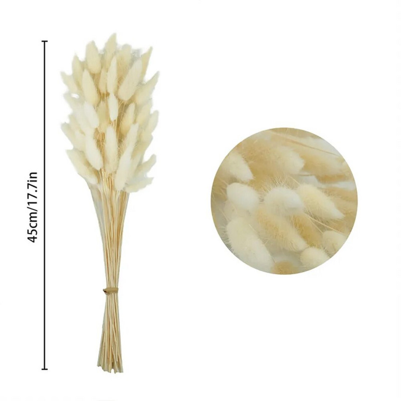 60 tk Mix Lagurus Küüliku saba rohi Looduslik Pampa Kuivatatud Lillede Kimp Lilleline Pulm Boho Kodukaunistus Foto Rekvisiidid Dekoratsioon