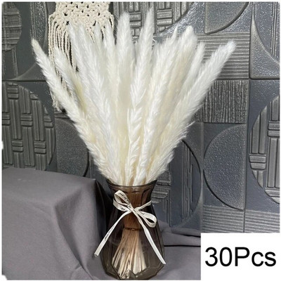 30-100 kom Pahuljasti buket suhog cvijeća Pampas Dekoracija doma Prirodni zečji rep Trava Umjetno cvijeće Dekoracija za vjenčanje