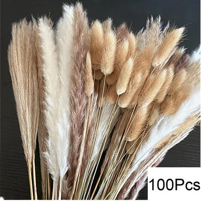 30-100 kom Pahuljasti buket suhog cvijeća Pampas Dekoracija doma Prirodni zečji rep Trava Umjetno cvijeće Dekoracija za vjenčanje