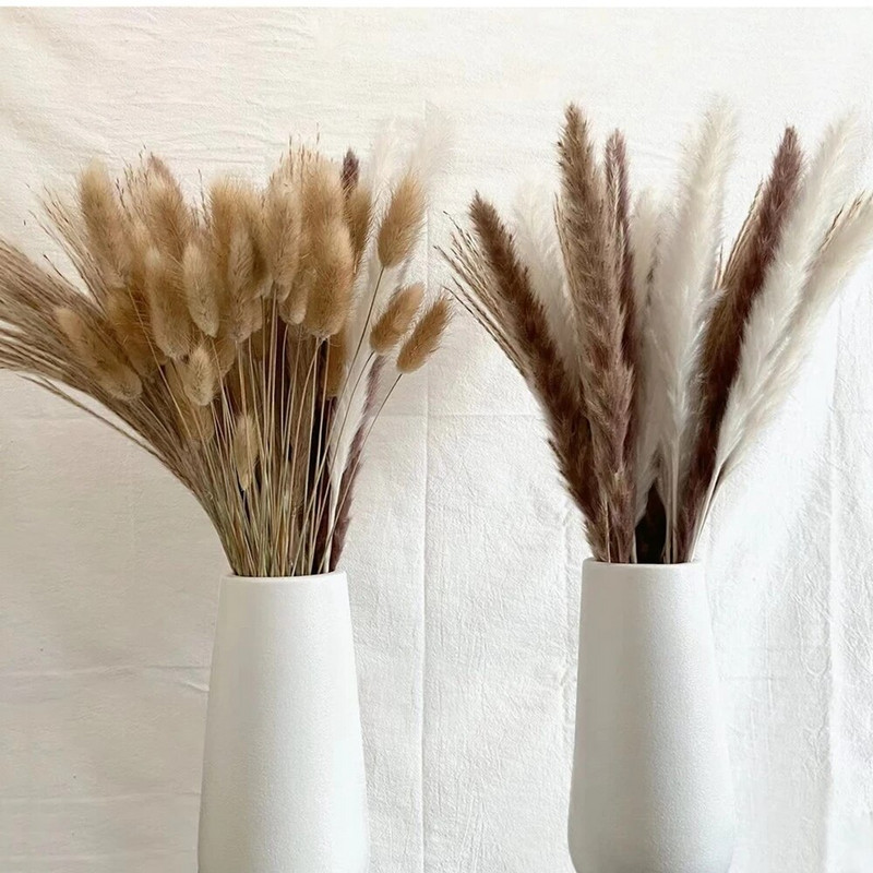 30-100 db Bolyhos pampa szárított virág csokor lakberendezési dekoráció természetes nyúlfarkú fű művirág esküvői parti dekoráció
