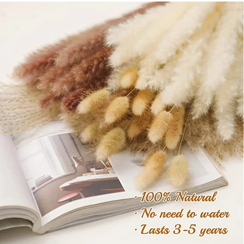 30-100 db Bolyhos pampa szárított virág csokor lakberendezési dekoráció természetes nyúlfarkú fű művirág esküvői parti dekoráció