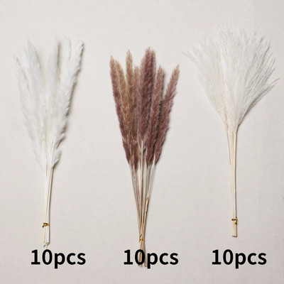 30gab. Žāvēti ziedi Pūkaina Pampas zāle kāzu ballīšu dekorēšanai Zaķa aste niedres Mākslīgie ziedi Mājas dekors