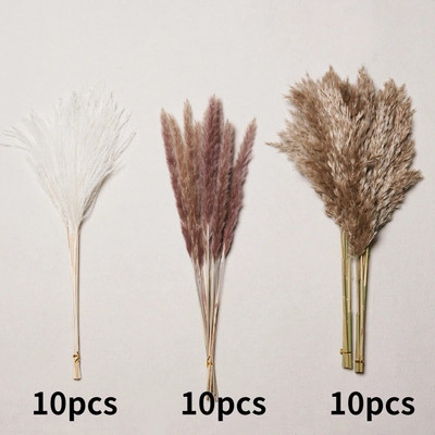 30gab. Žāvēti ziedi Pūkaina Pampas zāle kāzu ballīšu dekorēšanai Zaķa aste niedres Mākslīgie ziedi Mājas dekors
