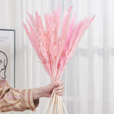 30gab. Žāvēti ziedi Pūkaina Pampas zāle kāzu ballīšu dekorēšanai Zaķa aste niedres Mākslīgie ziedi Mājas dekors