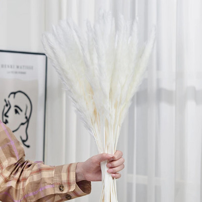 30gab. Žāvēti ziedi Pūkaina Pampas zāle kāzu ballīšu dekorēšanai Zaķa aste niedres Mākslīgie ziedi Mājas dekors