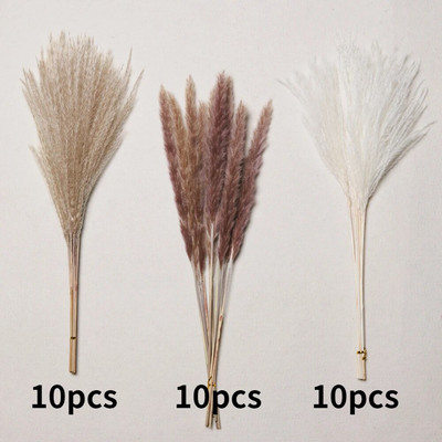 30gab. Žāvēti ziedi Pūkaina Pampas zāle kāzu ballīšu dekorēšanai Zaķa aste niedres Mākslīgie ziedi Mājas dekors